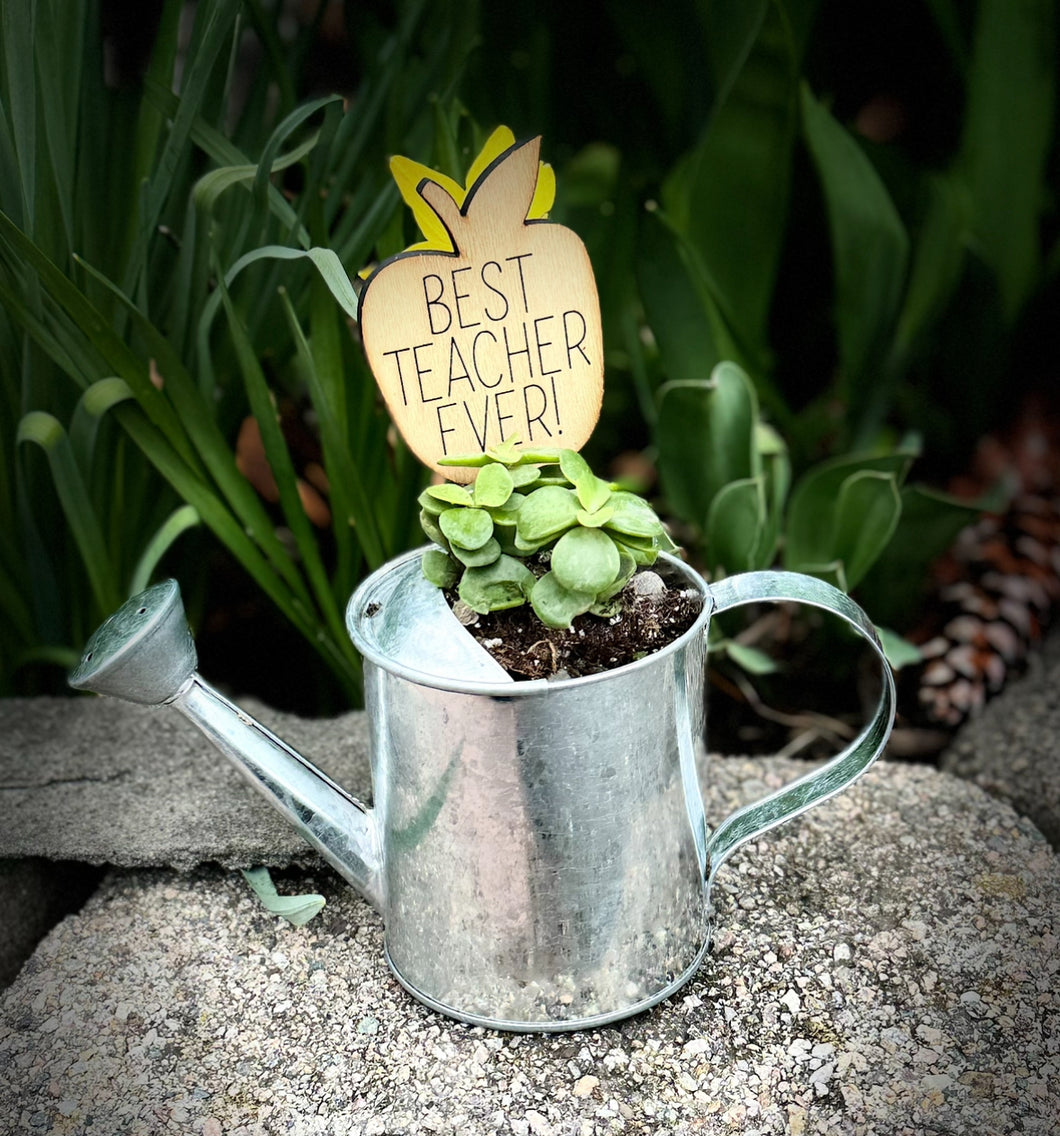 Potted Succulent Watering Can with Plant Stake