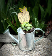 Potted Succulent Watering Can with Plant Stake